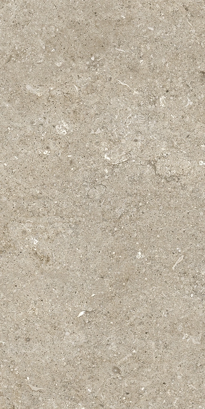 Florim Casa Dolce Casa Sensi Ivory Fossil R+Ptv 40X80 Rett  768338