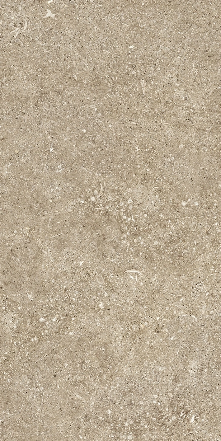Florim Casa Dolce Casa Sensi Taupe Fossil 40X80 Ret 768347