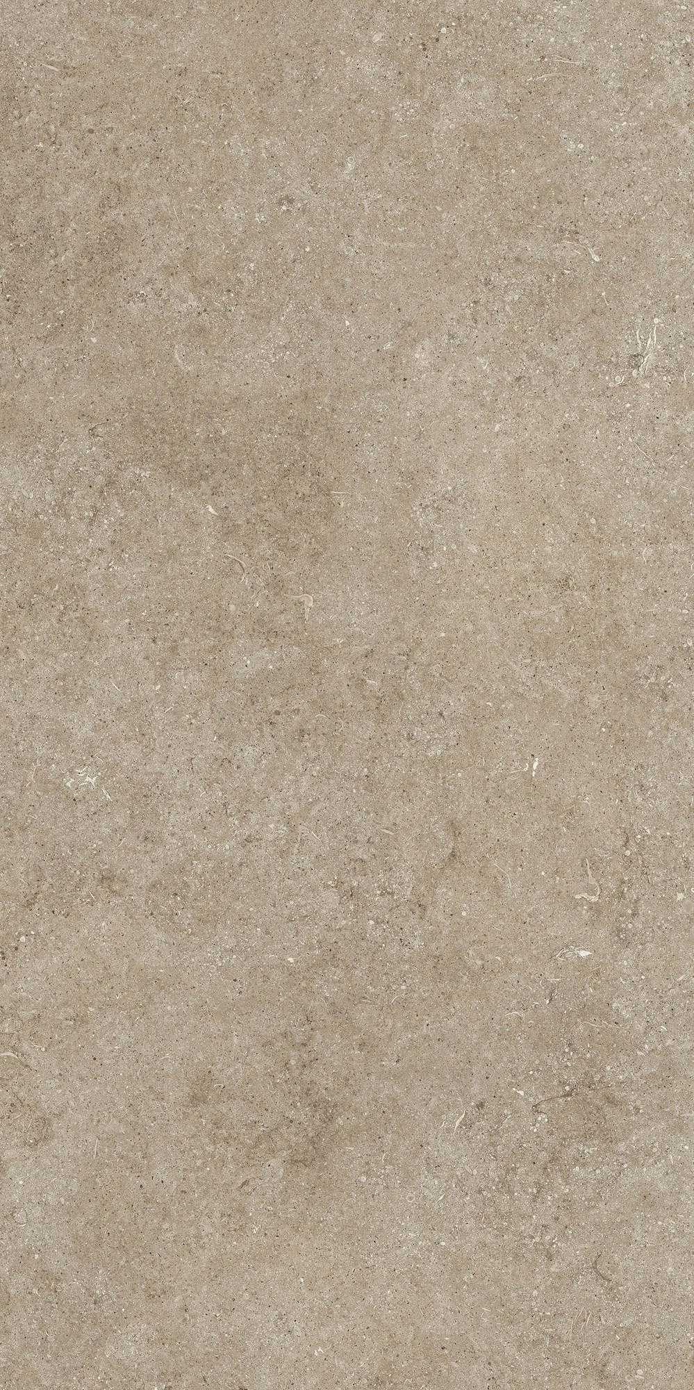 Florim Casa Dolce Casa Sensi Taupe Fossil 60X120 Ret  768322