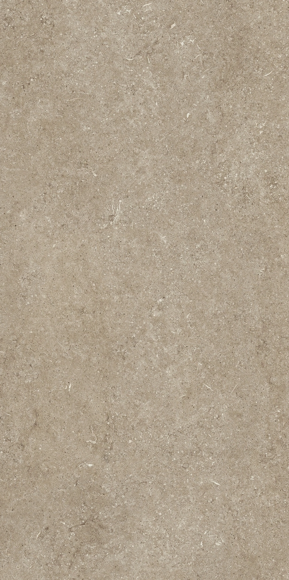 Florim Casa Dolce Casa Sensi Taupe Fossil 60X120 Ret  768322
