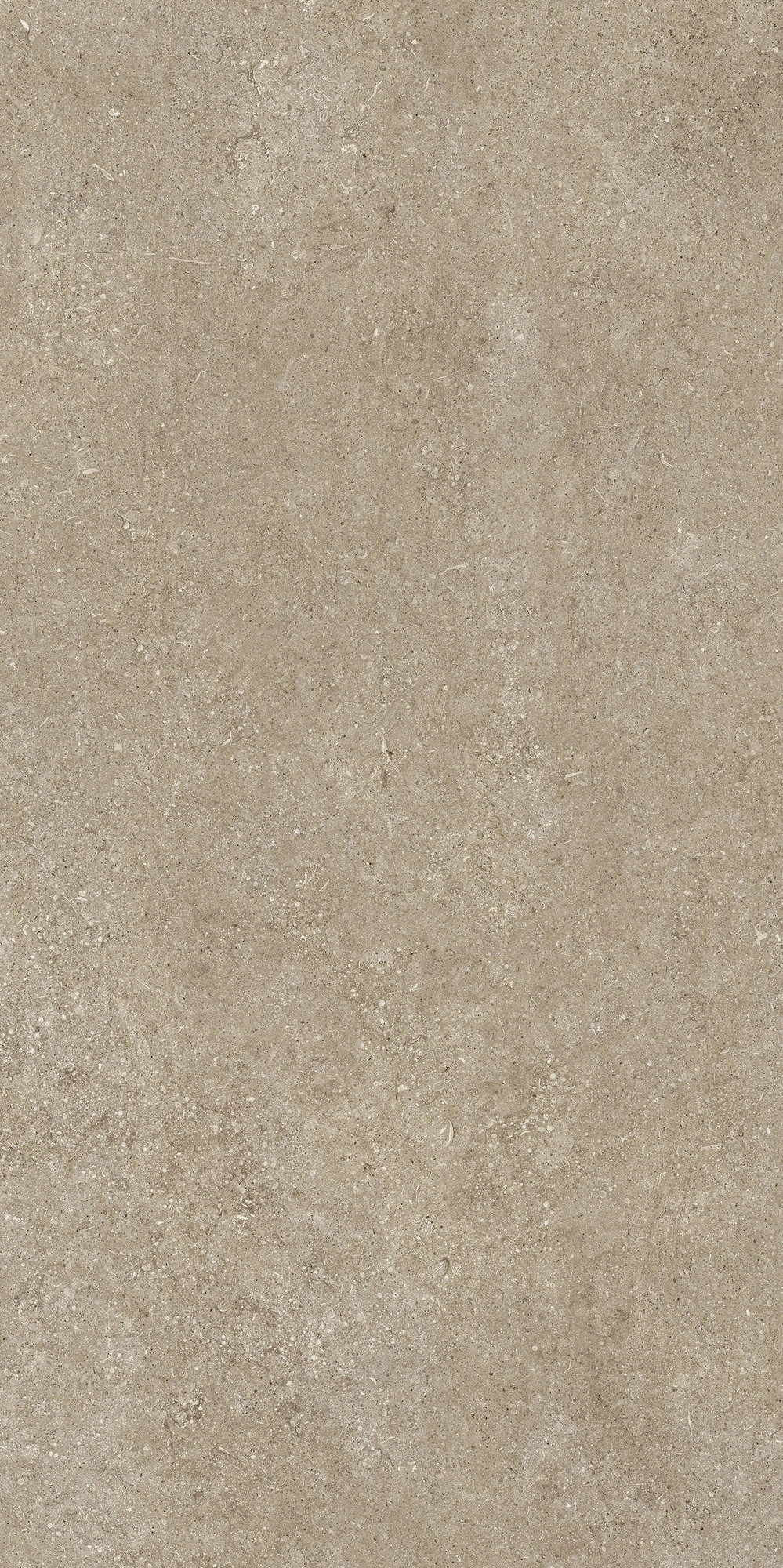 Florim Casa Dolce Casa Sensi Taupe Fossil R+Ptv 60X120 Ret  768323