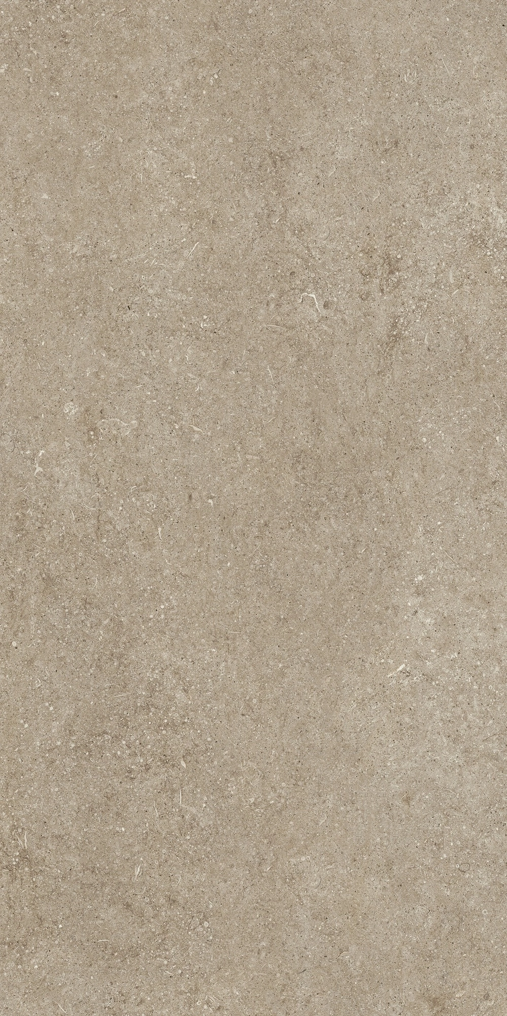Florim Casa Dolce Casa Sensi Taupe Fossil R+Ptv 60X120 Ret  768323