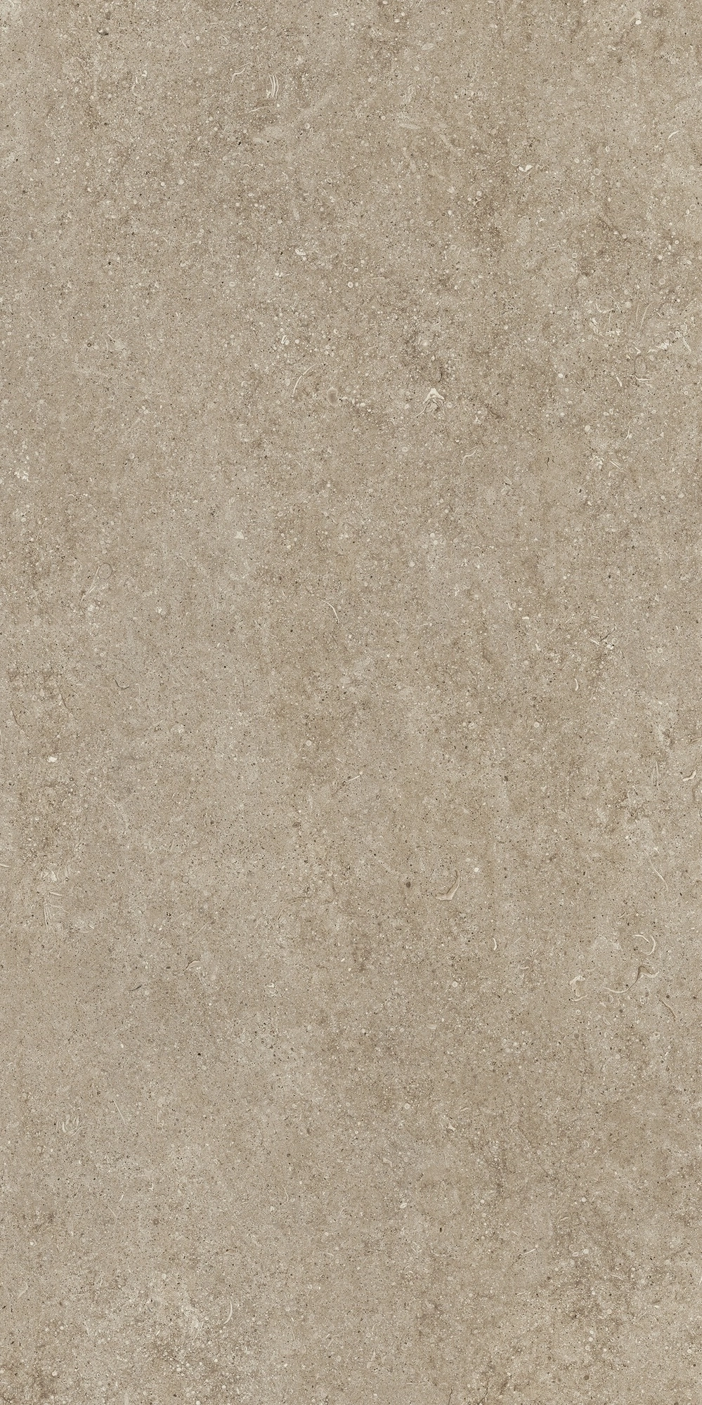 Florim Casa Dolce Casa Sensi Taupe Fossil R+Ptv 60X120 Ret  768323