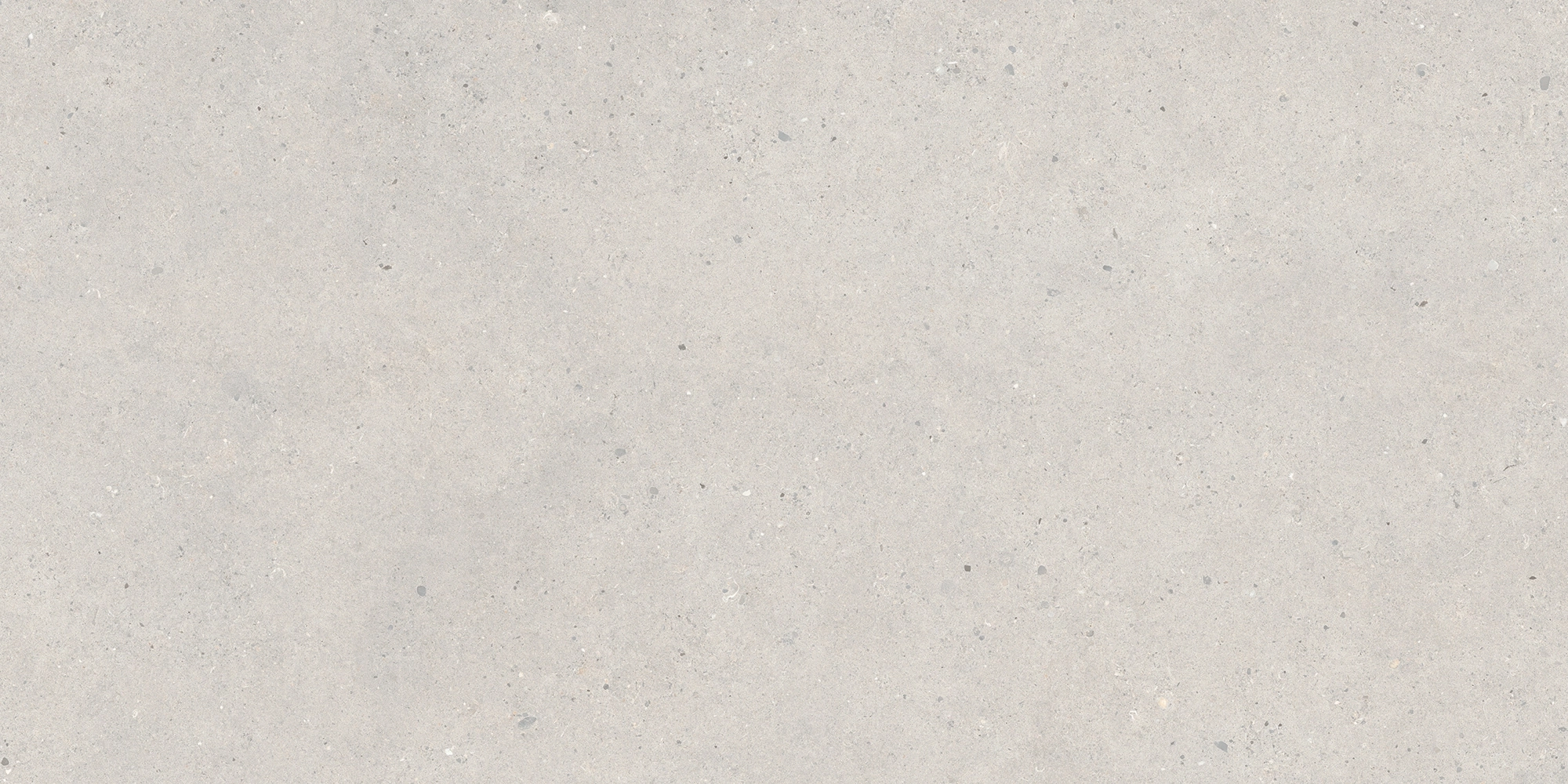 Italgraniti Silver Grain Grey Ant.Sq.2Cm 120X60 SI03BA2