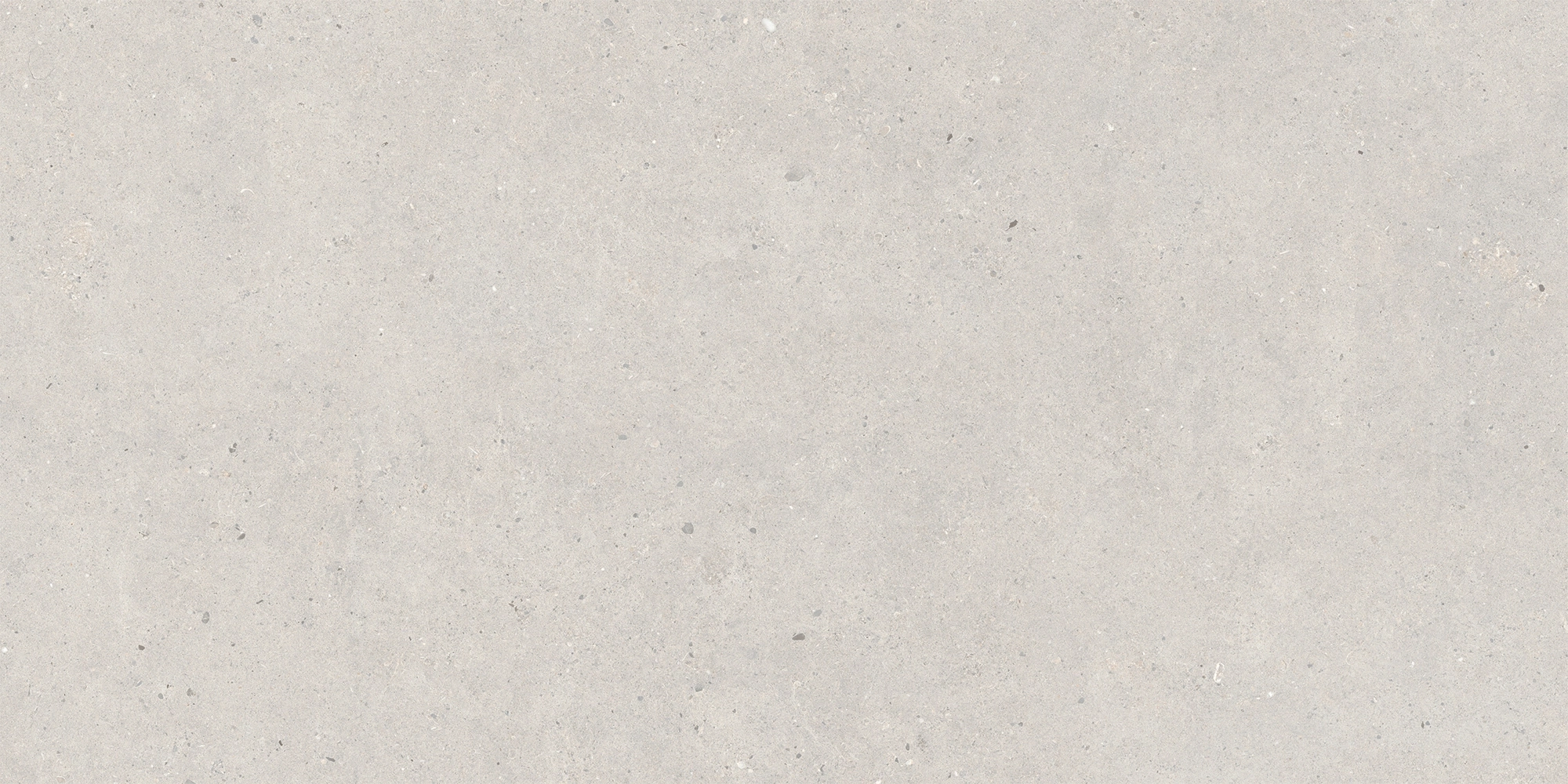 Italgraniti Silver Grain Grey Ant.Sq.2Cm 120X60 SI03BA2