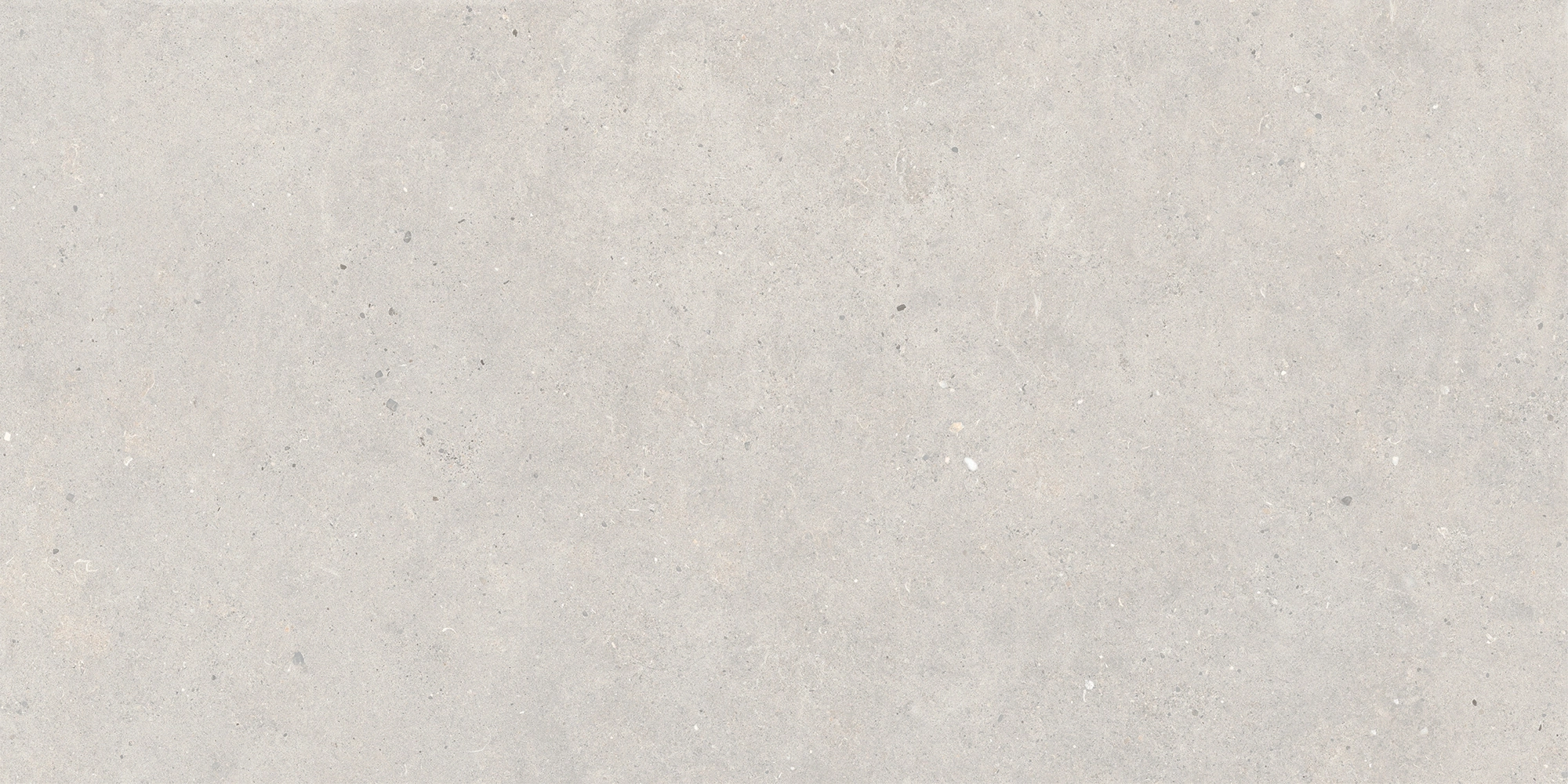 Italgraniti Silver Grain Grey Ant.Sq.2Cm 120X60 SI03BA2