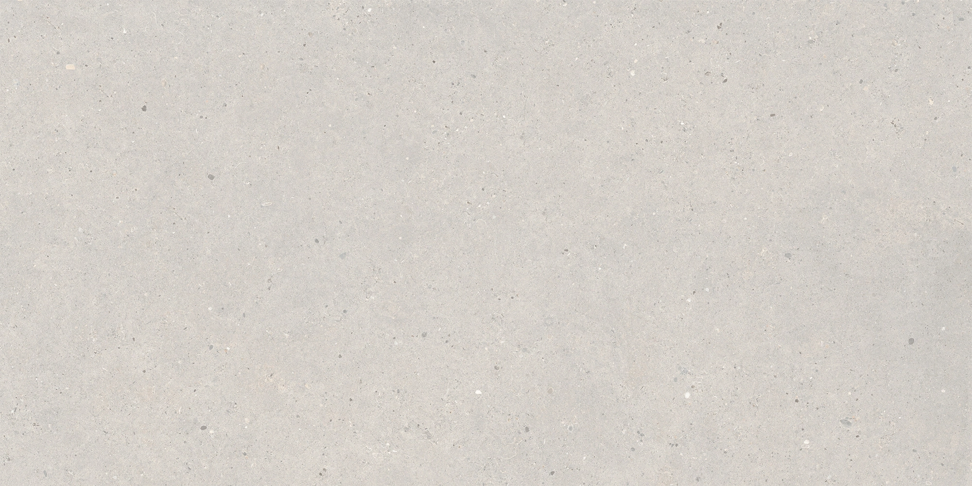 Italgraniti Silver Grain Grey Ant.Sq.2Cm 120X60 SI03BA2