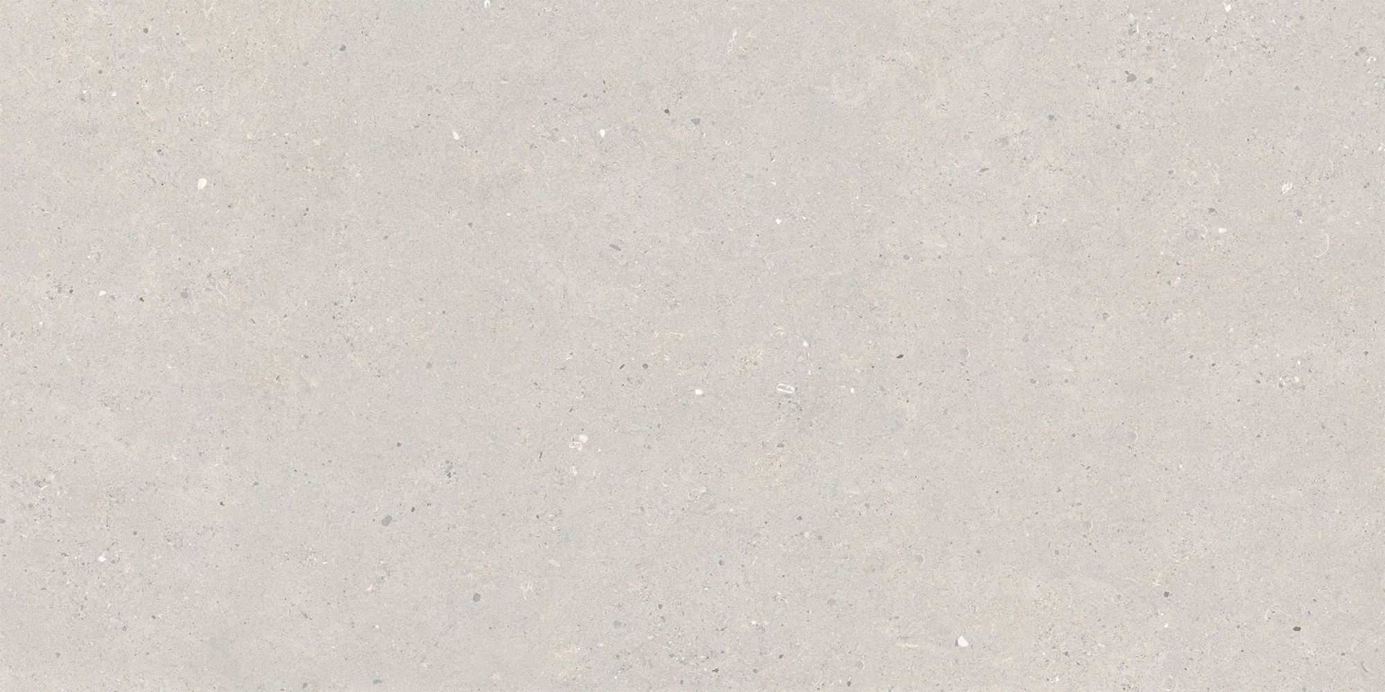 Italgraniti Silver Grain Grey Ant.Sq.2Cm 120X60 SI03BA2