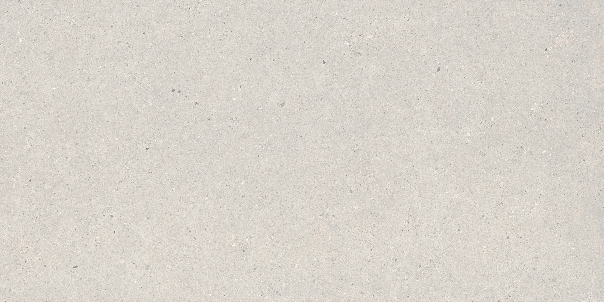 Italgraniti Silver Grain Grey Ant.Sq.2Cm 120X60 SI03BA2