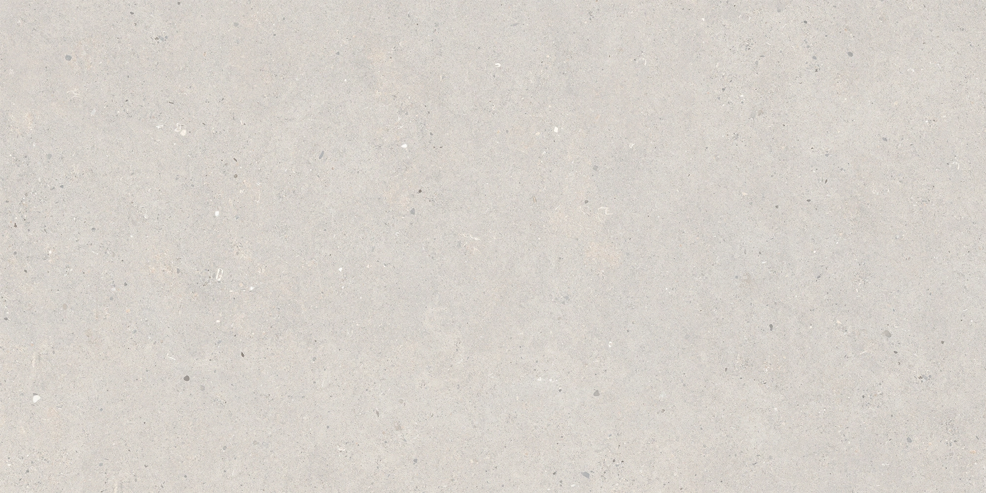 Italgraniti Silver Grain Grey Ant.Sq.2Cm 120X60 SI03BA2