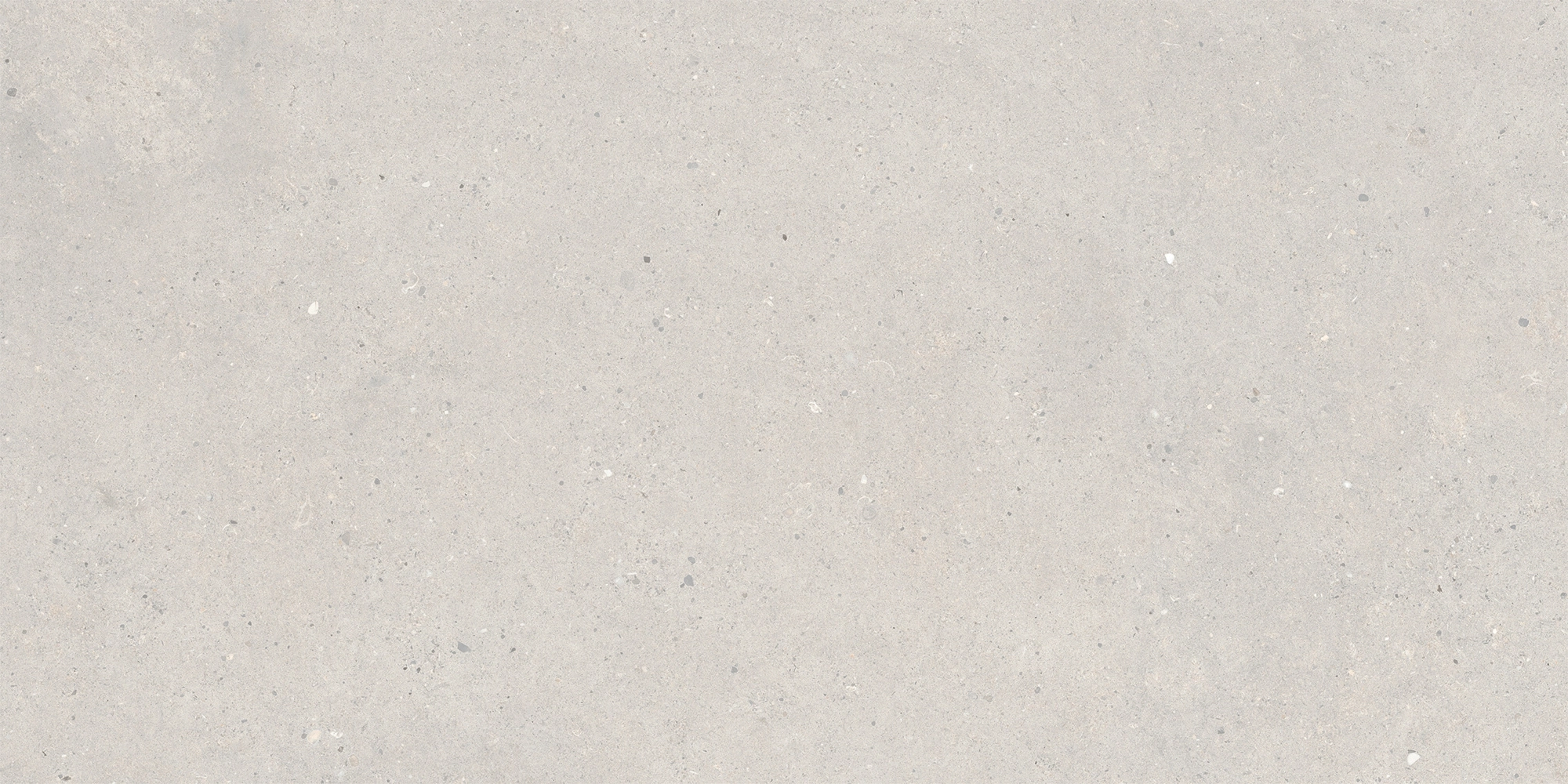 Italgraniti Silver Grain Grey Ant.Sq.2Cm 120X60 SI03BA2