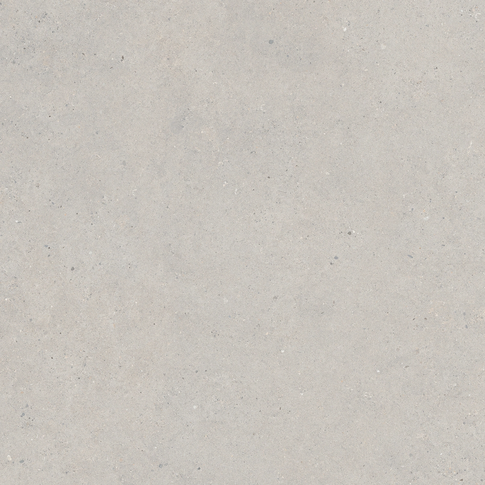 Italgraniti Silver Grain Grey Sq. 80X80 SI0388