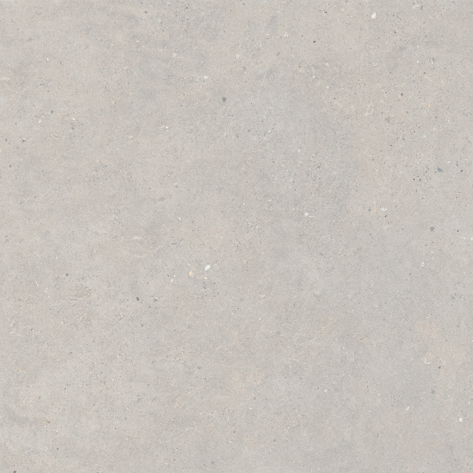 Italgraniti Silver Grain Grey Sq. 80X80 SI0388