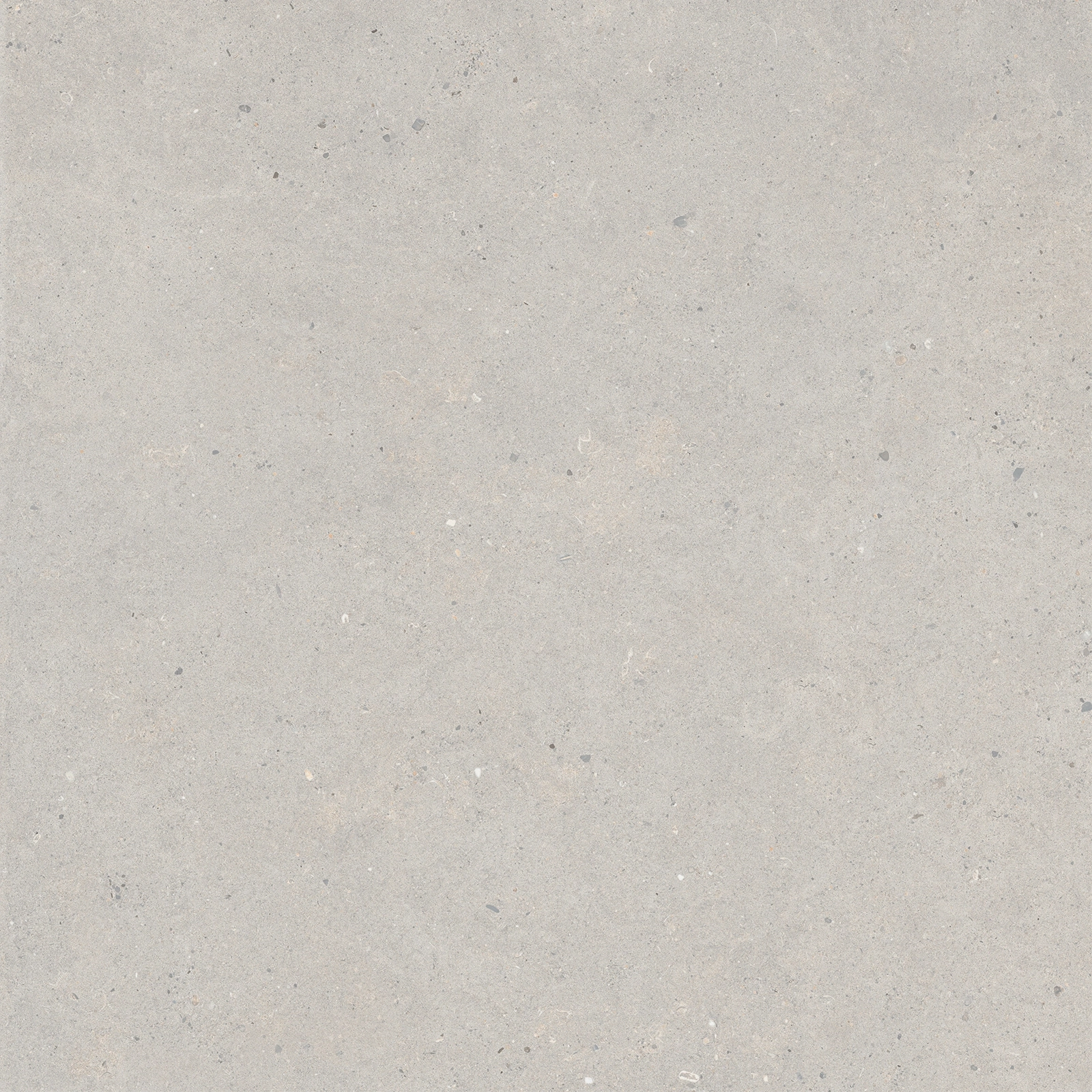 Italgraniti Silver Grain Grey Sq. 80X80 SI0388