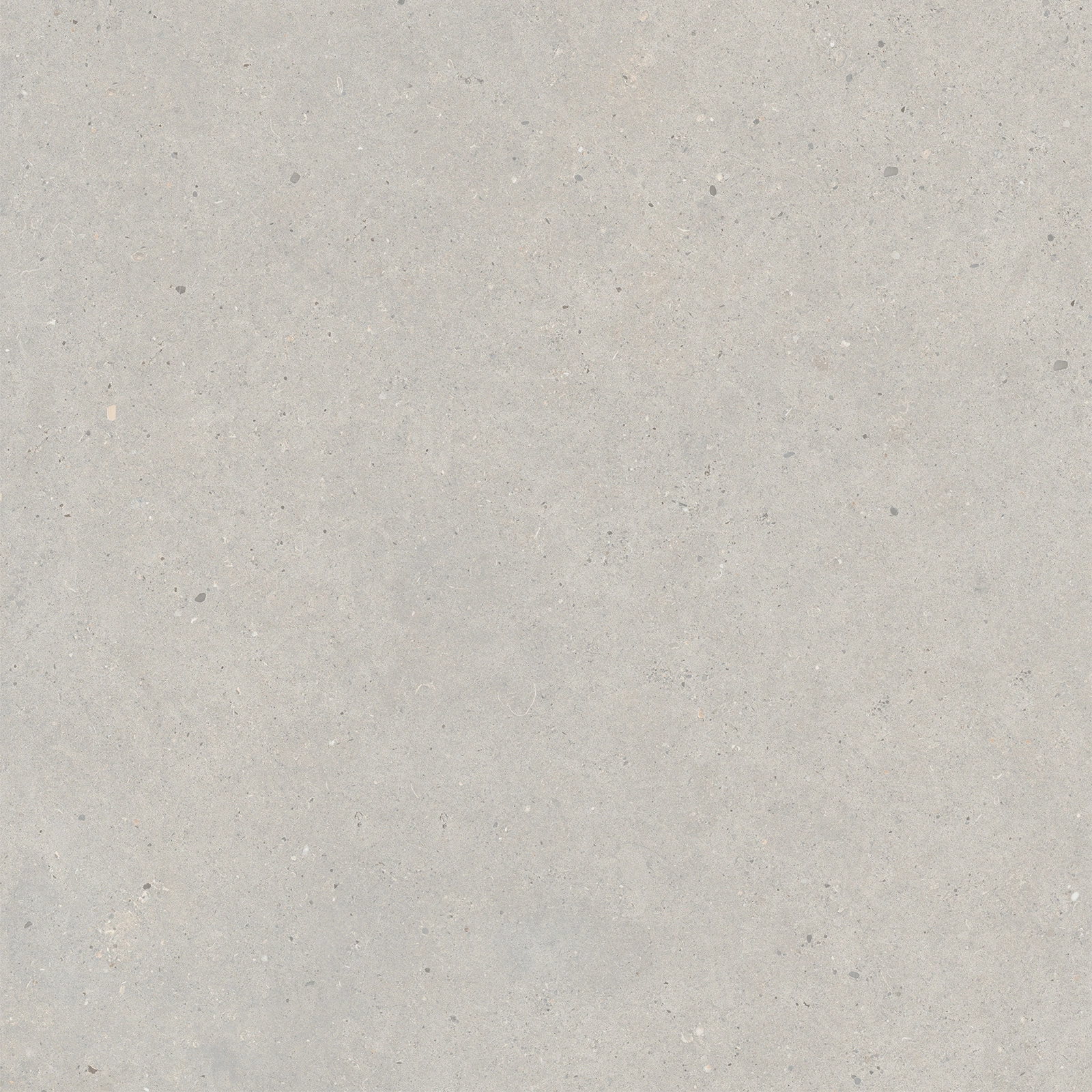 Italgraniti Silver Grain Grey Sq. 80X80 SI0388