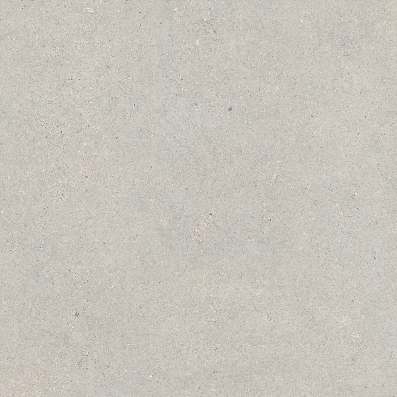 Italgraniti Silver Grain Grey Sq. 80X80 SI0388