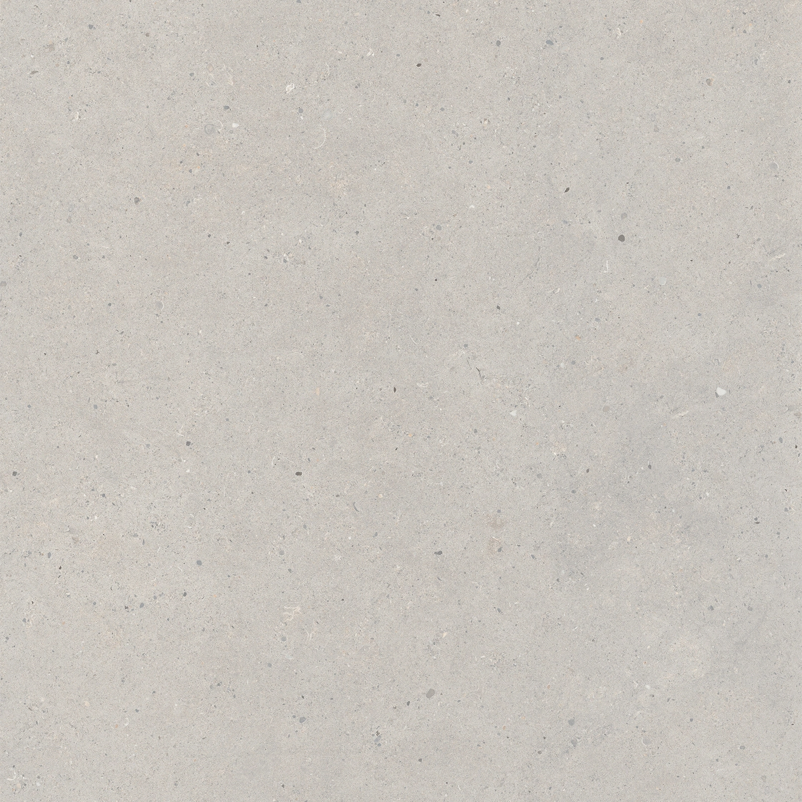 Italgraniti Silver Grain Grey Sq. 80X80 SI0388