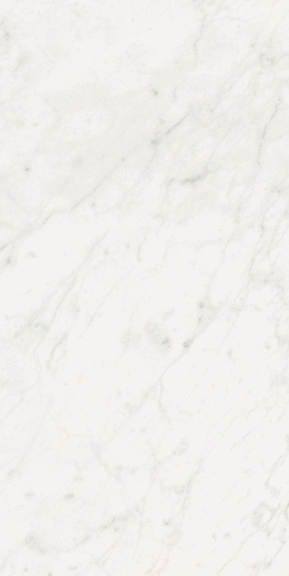 Floor Gres Stontech 4.0 Stone_01 60X120 Ret  761172