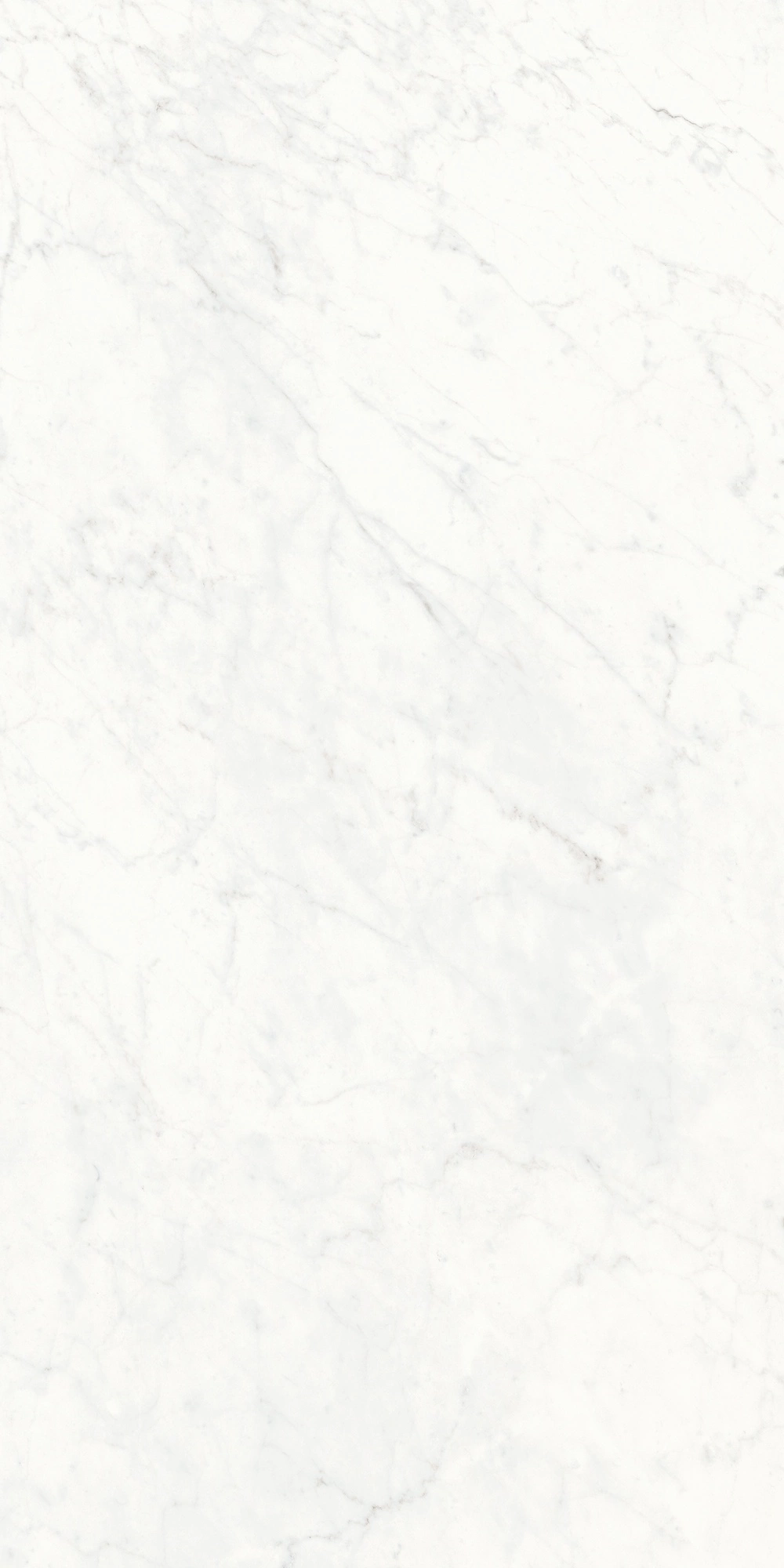 Floor Gres Stontech 4.0 Stone_01 Hglo 6Mm 120X240Rt  761506