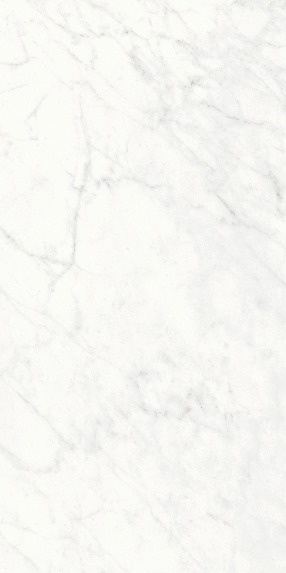 Floor Gres Stontech 4.0 Stone_01 Hglo 6Mm 60X120 Rt  761518