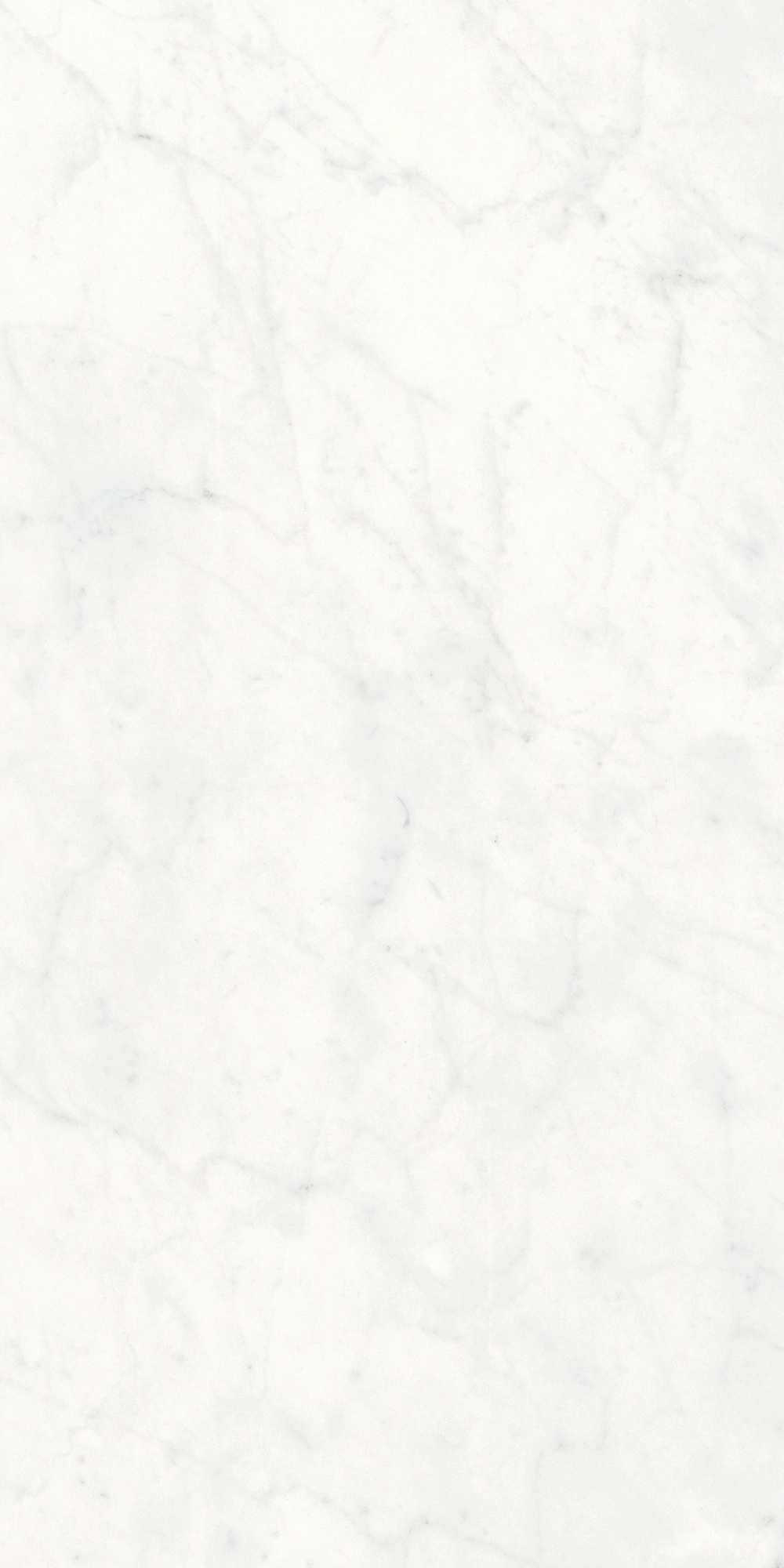 Floor Gres Stontech 4.0 Stone_01 Hglo 6Mm 60X120 Rt  761518