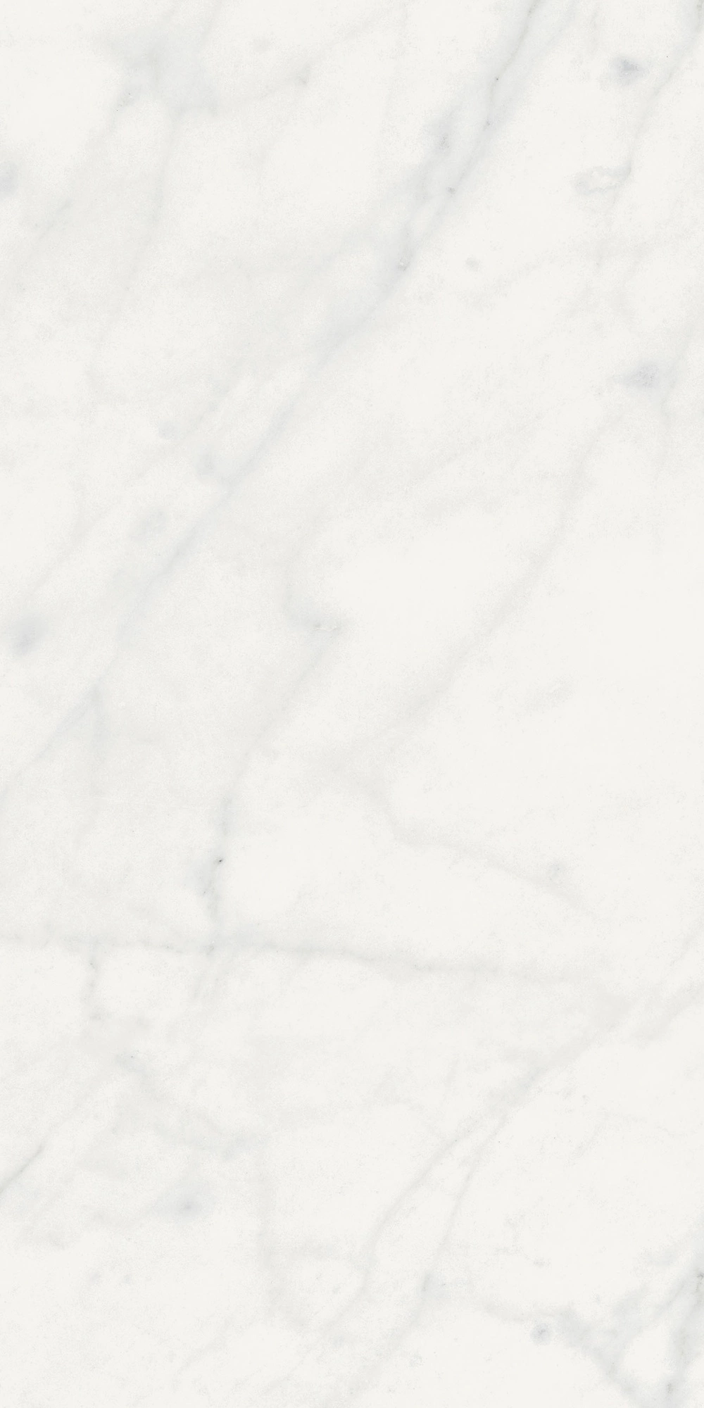 Floor Gres Stontech 4.0 Stone_01 High-Glossy 30X60R  761202