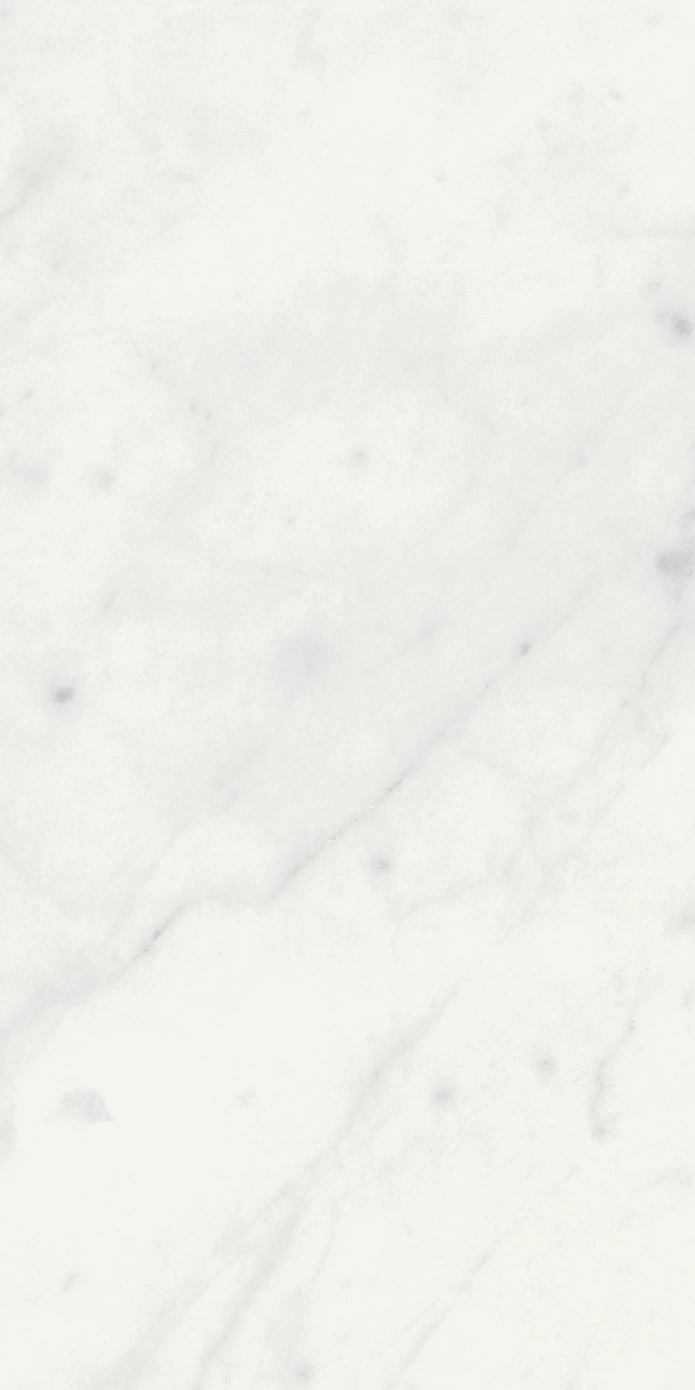 Floor Gres Stontech 4.0 Stone_01 High-Glossy 30X60R  761202