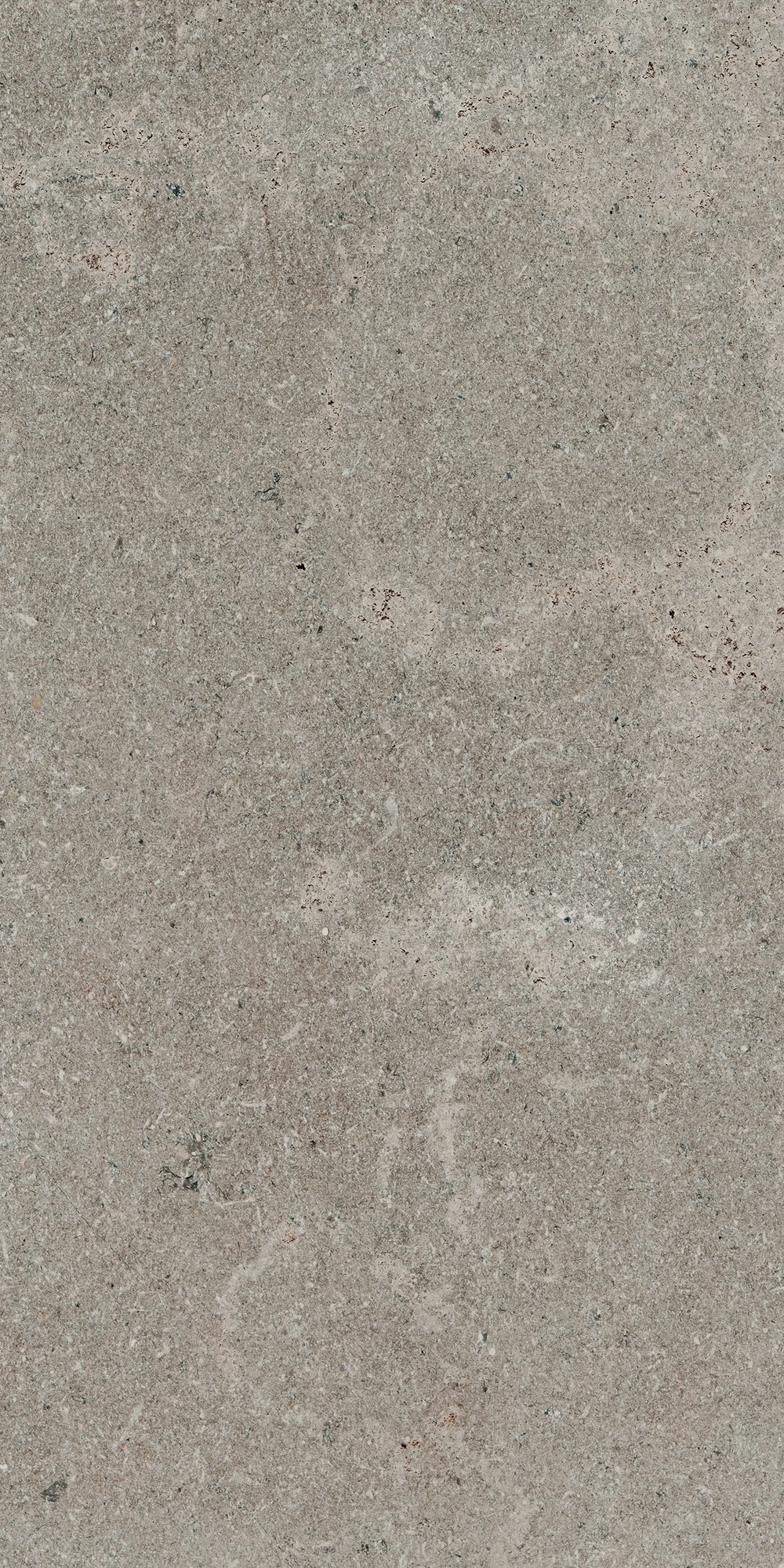 Floor Gres Stontech 4.0 Stone_03 R+Ptv 30X60 Ret  761265