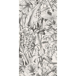 Cerdomus Croatia Tellas 96532