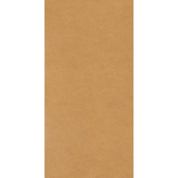 Floor gres Earthtech/ Savanah_Gr Ptv 9Mm 60X120R 776956