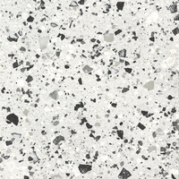 Iris Fmg Venice Villa Venice Silver Levigato L20407