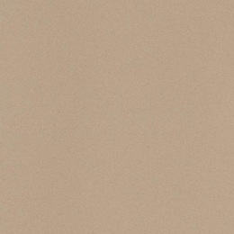 Leonardo Icon 60x60 ICON BEIGE 60