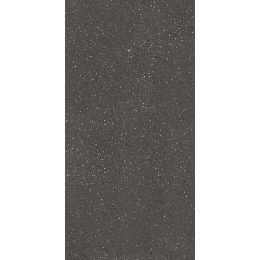 Floor gres Earthtech/ Carbon_Fl Nat 9Mm 120X240R 776933