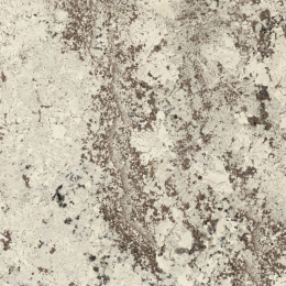 Iris Fmg Select Alaska White Select Prelucidato Sq. P1208600