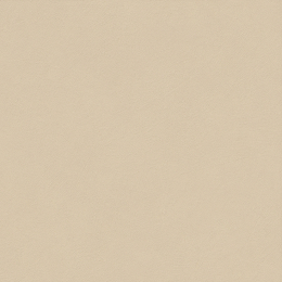 Atlas Concorde Boost Natural Pro Sand 80x80 A9RN