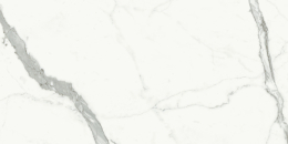 Iris Fmg Select Bianco Venato Extra Lucidato Sq. LU628300