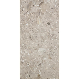 Cercom Ceppo Sabbia Ret(P)  30X60 1077667