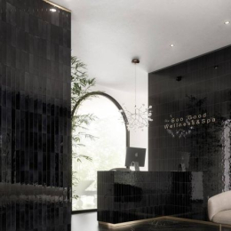 Refin Halo Ink Lucido 6X24 OY81