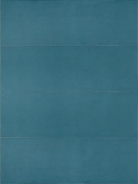 Ragno 300X900  Lucida Oce RCR4