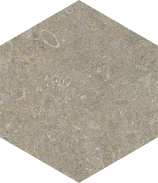 Marca Corona Arkistyle Fossil Esa J159