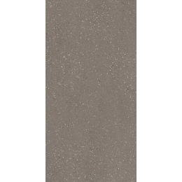 Floor gres Earthtech/ Fog_Fl Nat 9Mm 120X240R 776931