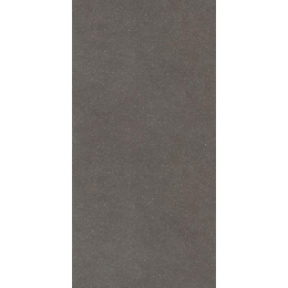 Floor gres Earthtech/ Carbon_Gr Ptv 9Mm 60X120R 776955