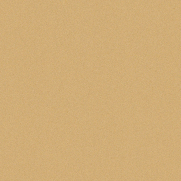 Cerdisa Ecc Ray Nt Rt 0098556