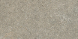 Marca Corona Arkistyle Fossil J223