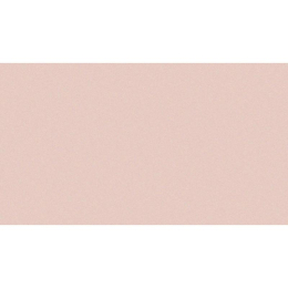 Vogue In Rosa 5X20 0011S28