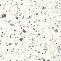 Iris Fmg Venice Villa Venice White Levigato L20406