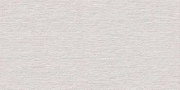 Refin Reliefs Hammered White R 60X120 RN05