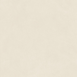 Atlas Concorde Boost Natural Pro Salt 60x60 AQ9U