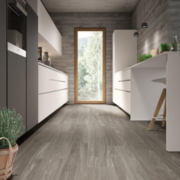 Casalgrande Padana Class Wood Class Grey Antibacterial 10Mm 10625867