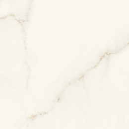 Atlas Concorde Marvel Calacatta Apuano 60x60 Matt  AFV3